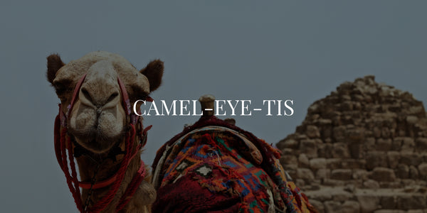 Do You Suffer From CAMEL-EYE-TIS?
